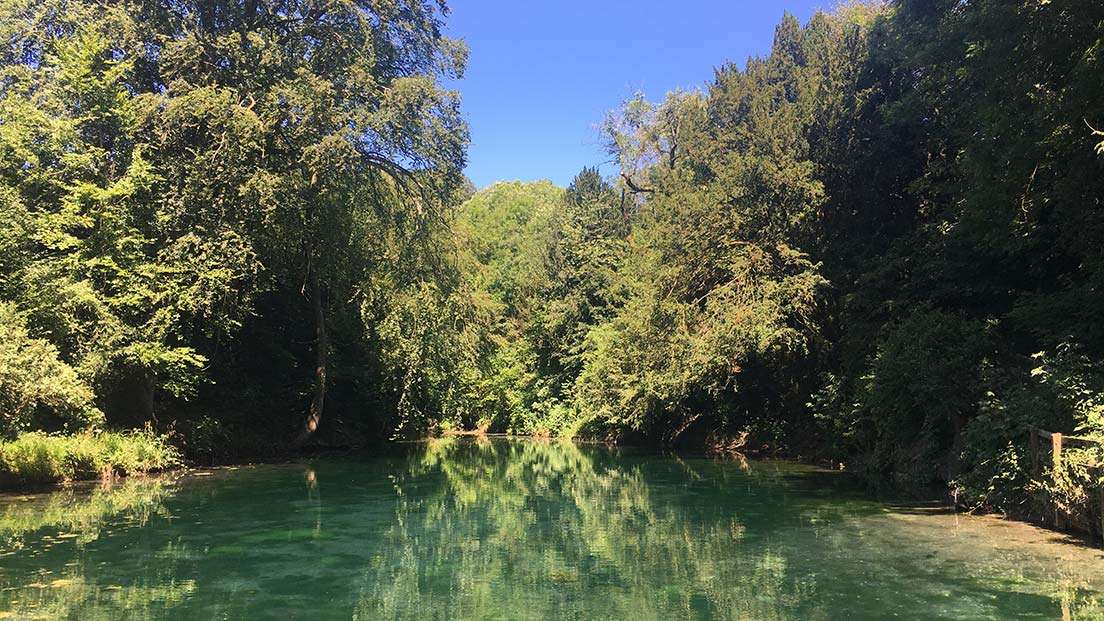 Silent Pool Distillers